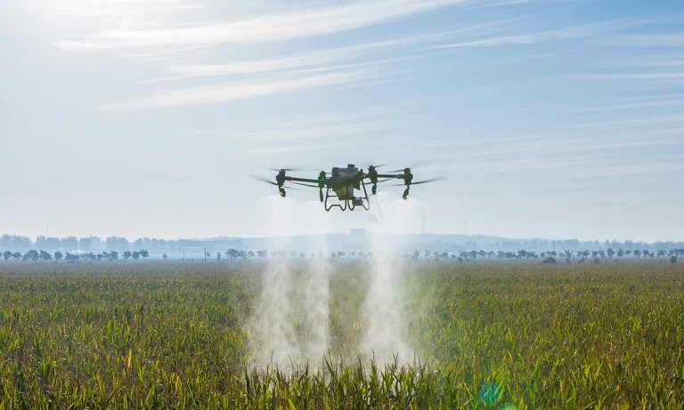 Crop spraying drone working over a corn field
